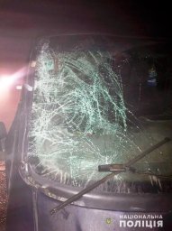 В ДТП в Черновицкой области погиб пешеход