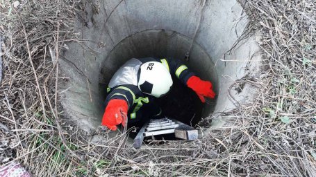 В Доброполье из колодца достали собаку
