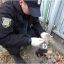 В Измаиле мужчина жестоко убил пенсионерку. Появилось видео
