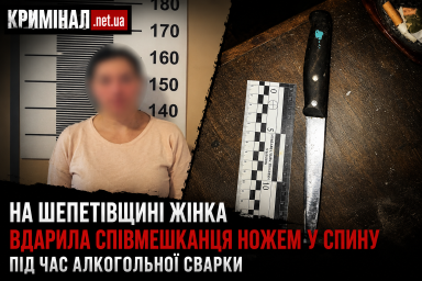 На Шепетівщині жінка вдарила співмешканця кухонним ножем у спину під час алкогольної сварки На Шепетівщині жінка вдарила співмешканця кухонним ножем у спину під час алкогольної сварки