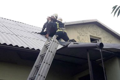 В Каменском спасатели сняли с крыши ребенка