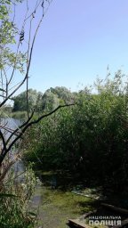 В Краснограде полицейские выясняют обстоятельства смерти ребенка В Краснограде полицейские выясняют обстоятельства смерти ребенка