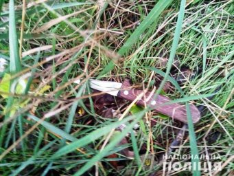 В Киеве мужчина ударил ножом знакомого