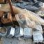 В результате взрыва в Киевской области погиб мужчина
