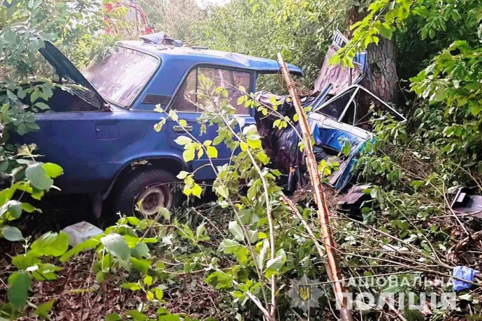 В Винницкой области в ДТП пострадали два человека