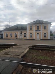 В Березани поезд сбил женщину