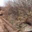 В Черновицкой области расследуют убийство мужчины. Появилось видео
