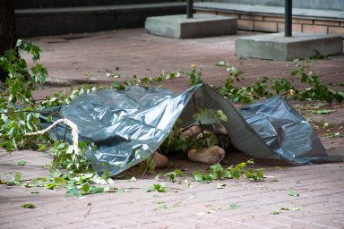В Киеве женщина выпала с 13-го этажа