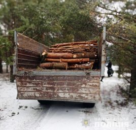 В Волынской области задержан «черный лесоруб»