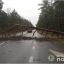 У Волинській області сталася ДТП у якій постраждав іноземець