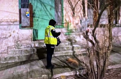 В Киеве из окна выбросили собачку