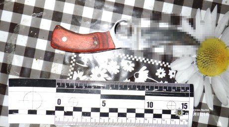 У Вінницькій області чоловік намагався вбити односельця