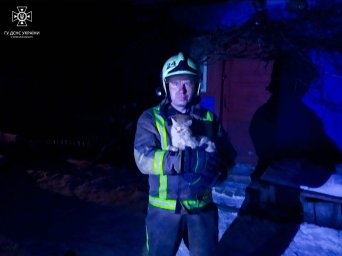 Під час пожежі вогнеборці врятували котика та його літнього господаря