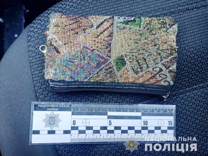 В Подольске женщина ограбила пожилую женщину