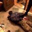 В Черновцах мужчина стрелял в знакомого