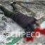 В Киеве молодой человек совершил суицид,  выбросившись из окна
