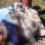 В Одесской области мужчина совершил убийство из ревности