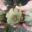 В Днепропетровской области обнаружены боеприпасы