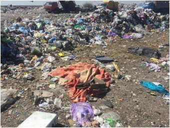 В Николаеве на полигоне ТБО обнаружен расчлененный труп женщины. Появилось видео