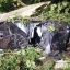 В ДТП в Хмельницкой области погибли два человека