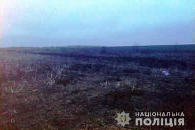 В Волновахском районе обнаружены обгоревшие человеческие останки