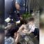 В Днепре ребенок провалился в канализационный люк. Появилось видео