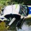 В Киеве разыскивают полицейского из автомобиля, упавшего в реку