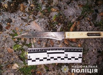 В Запорожской области мужчина ударил ножом бывшую жену