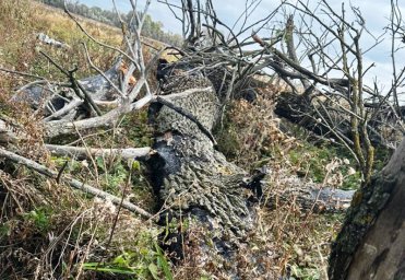 У Полтавській області встановлюють обставини смерті чоловіка