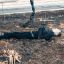 В Киеве обнаружен труп мужчины