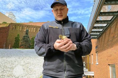 У Дніпрі рятувальники врятували каченят