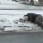 В Киеве возле станции метро Черниговская авто сбило мужчину. Появилось видео