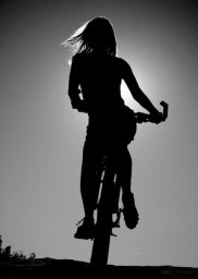 В Лозовой полиция выясняет обстоятельства получения травм несовершеннолетней девушкой В Лозовой полиция выясняет обстоятельства получения травм несовершеннолетней девушкой