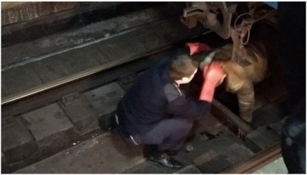 В Харькове мужчина пытался свести счеты с жизнью и упал на рельсы метро