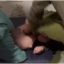 У Хмельницьку в училищі стався випадок жорстокого булінгу – студенту відбили селезінку
