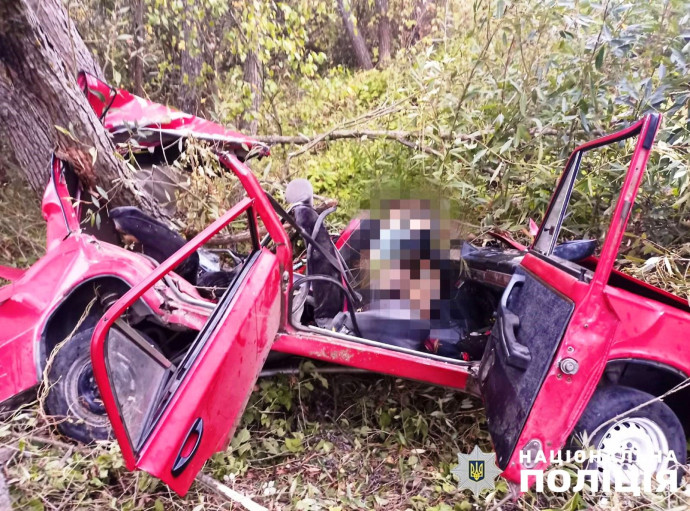 В Житомирській області в автоаварії загинув чоловік