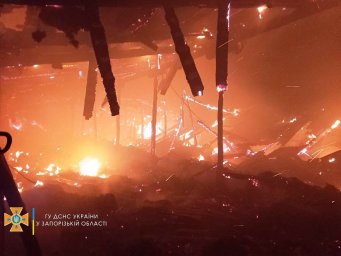 При пожаре в Веселом пострадала женщина