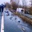 В ДТП в Харьковской области погибли три человека