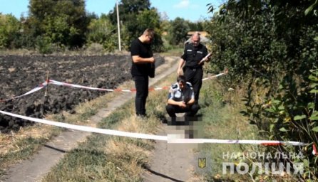 На обочине дороги в Балте найдена голова мужчины