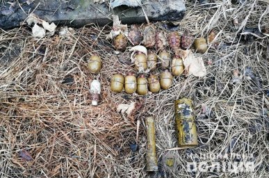 В лесополосе под Покровском обнаружен арсенал