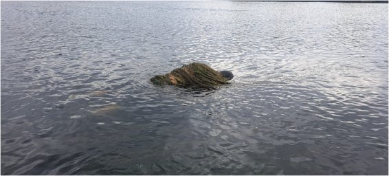 Прикордонник виявили у Дністрі тіло ще одного потопельника