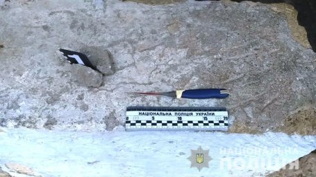 В Одесской области задержан мужчина, убивший брата. Появилось видео