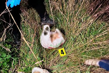 В Павлограде мужчина убил и расчленил женщину