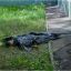 В Киеве молодой человек испугавшись полицейских вскрыл себе вены и выпрыгнул из окна. Появилось виде