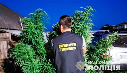 В Черниговской области у мужчины изъяли наркотики и оружие. Появилось видео