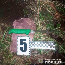 В Харьковской области пожилой мужчина едва не убил своего сына В Харьковской области пожилой мужчина едва не убил своего сына