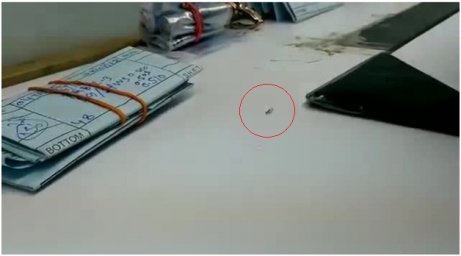 В Италии объявился неожиданный «вор» бриллиантов. Появилось видео