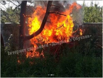 В Киевской области загорелся врезавшийся в дерево автомобиль