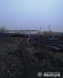 В Новомосковске мужчина убил мать и спрятал труп