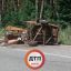 На трассе Киев-Чоп в ДТП пострадали дорожные рабочие